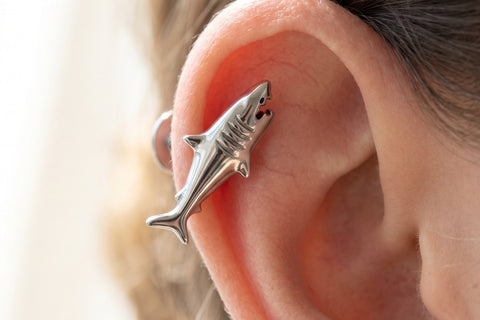 Kolczyk helix tytan