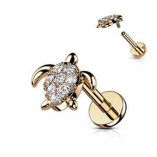 Labret żółw cyrkonia gwint wewnętrzny