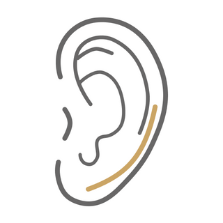 Kolczyk ear crawler