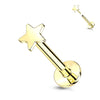 Złoto 585 labret gwiazdka płaska push-in