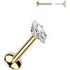 Tytan labret markiza moissanit push-in