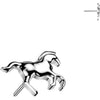 Tytan nakrętka nakrętka koń push-in