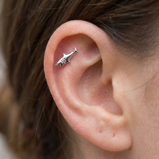 Tytan labret rekin gwint wewnętrzny – getragen