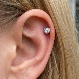 Tytan labret kot cyrkonia gwint wewnętrzny – getragen