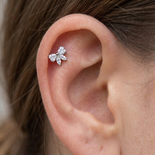 Tytan labret motyl serce marquise cyrkonia gwint wewnętrzny – getragen