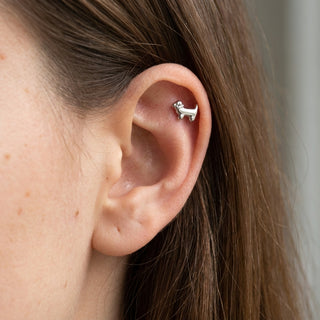 Tytan labret pies gwint wewnętrzny – getragen