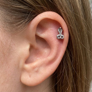 Tytan labret kobra gwint wewnętrzny – getragen