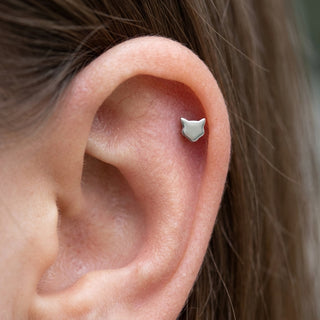 Tytan labret kot gwint wewnętrzny – getragen
