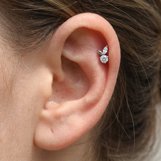 Tytan labret listek marquise cyrkonia gwint wewnętrzny – getragen