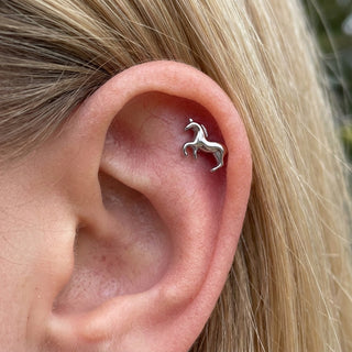 Tytan labret koń gwint wewnętrzny – getragen